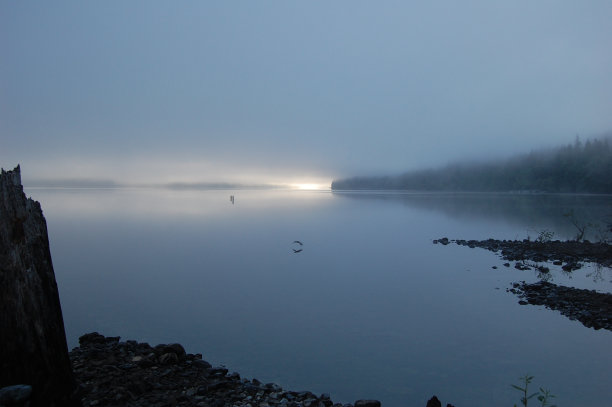 早晨的雾图片下载