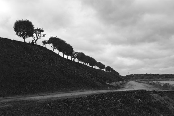 树木山谷在彼得霍夫，黑白图片下载