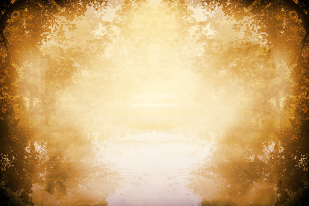 秋天的神秘森林图片下载