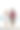 一对年轻夫妇在海滩上跑步度假图片下载
