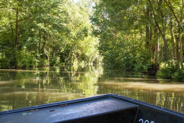 乘船游览波伊特温沼泽图片下载