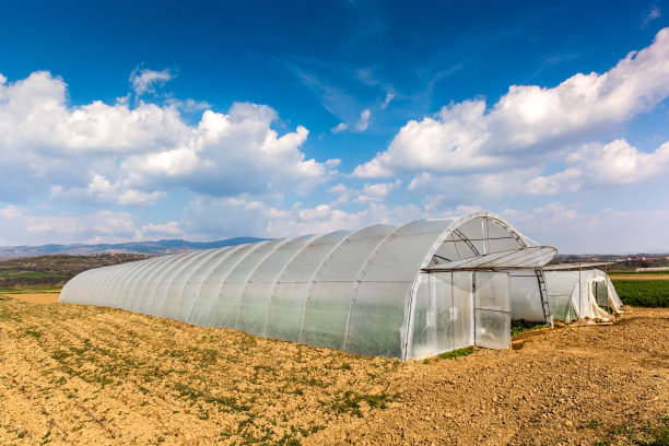 有机食品温室图片下载