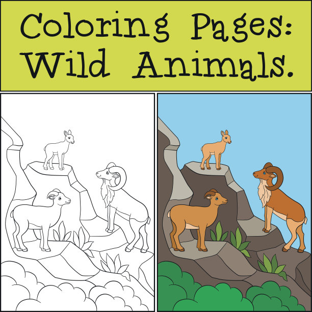 涂色页:野生动物。母亲，父亲和婴儿尿床。图片下载