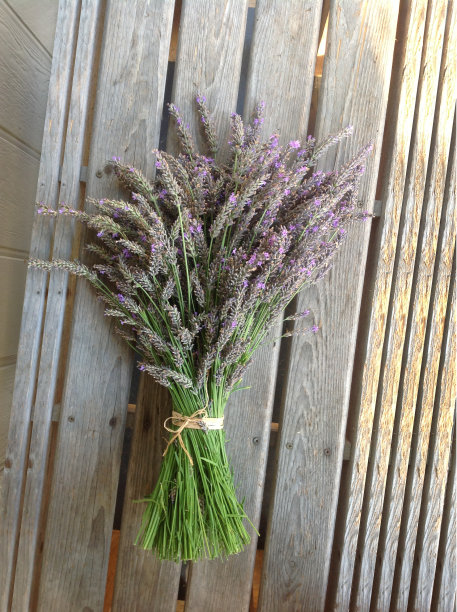 天气木材上的薰衣草花束图片下载