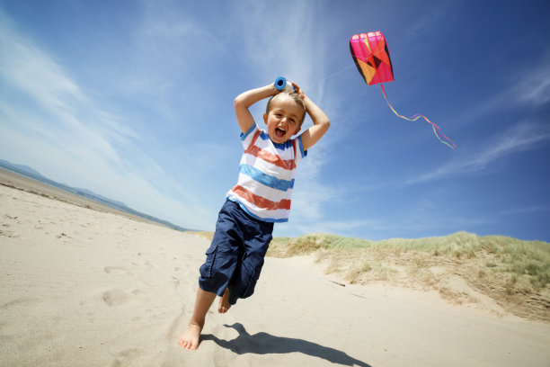 在海滩上放风筝图片下载