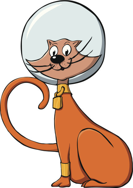 空间的猫图片下载