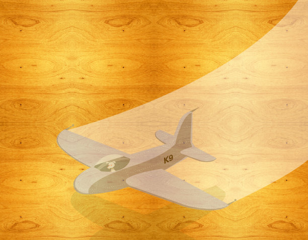 出航猎犬战斗机的木制背景图片下载