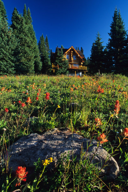 奢华的山居和野花图片下载