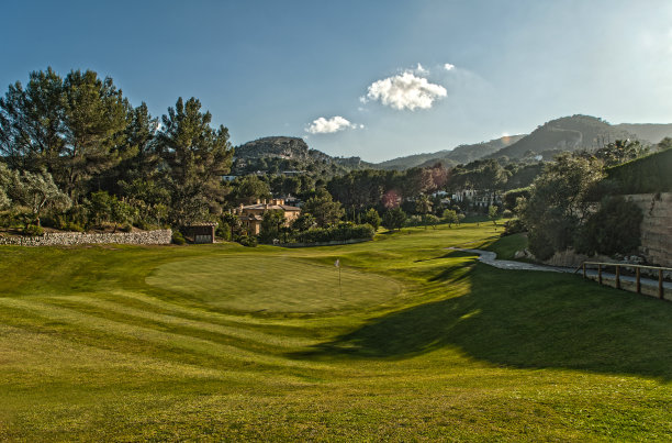 在山区环境中绿化图片下载