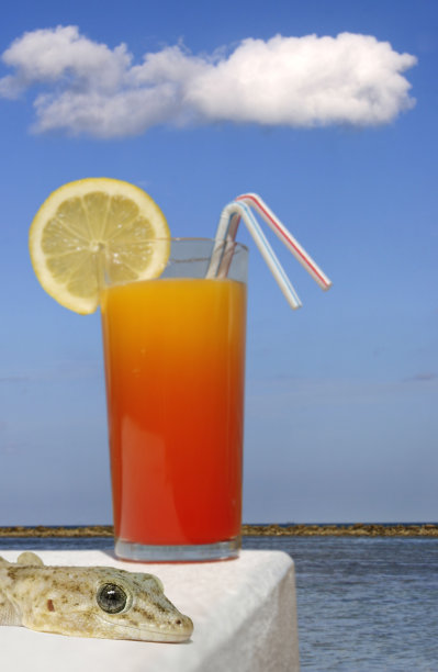 热带场景图片下载