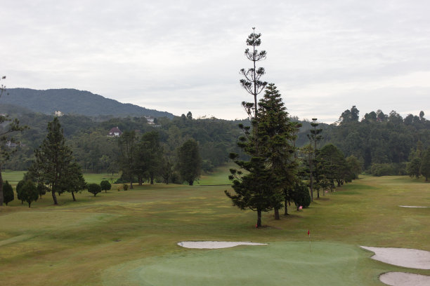 绿地-高尔夫球场图片下载