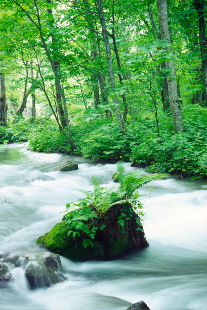 山涧中的岩石图片下载