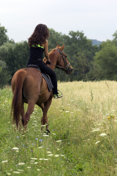 骑着棕色马的女人图片下载