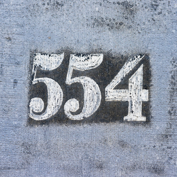 544号图片下载