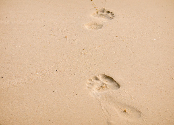 在沙滩上行走-股票图片图片下载