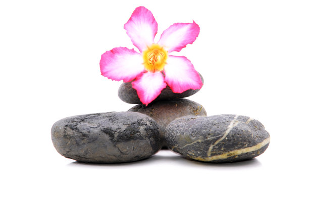 禅宗和温泉石与鸡蛋花在白色的背景图片下载