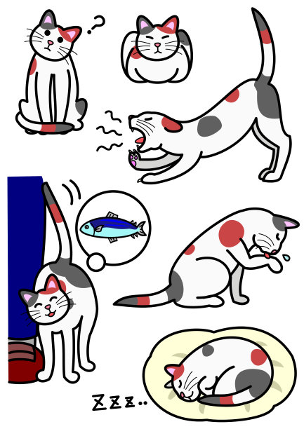 猫,各种表情图片下载