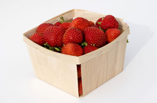 贝瑞盒子图片下载