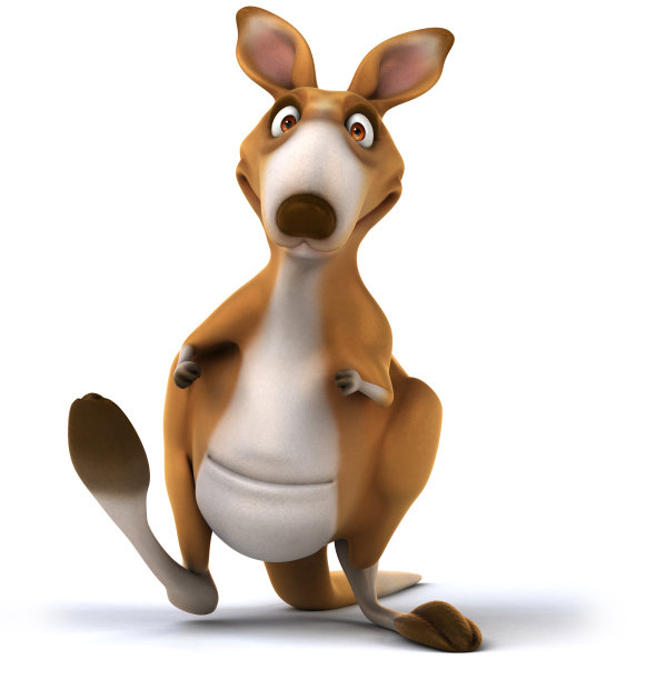 有趣的袋鼠图片下载