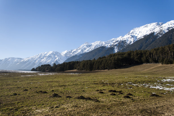 从米明格高原望向维特斯坦山脉图片下载