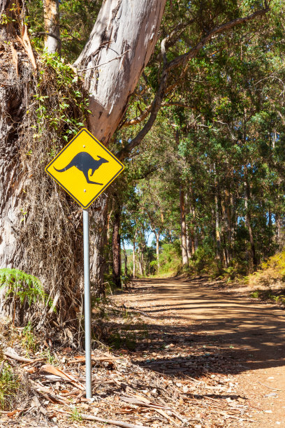 袋鼠警告标志图片下载