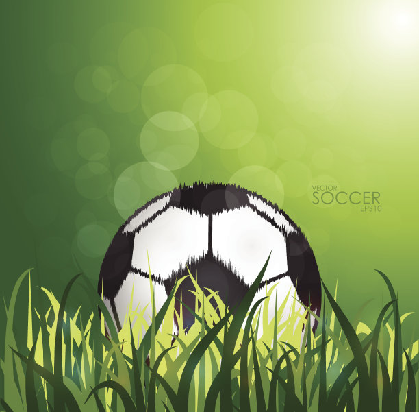 球场背景上的足球。图片下载