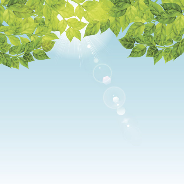 蓝天，阳光，绿叶图片下载