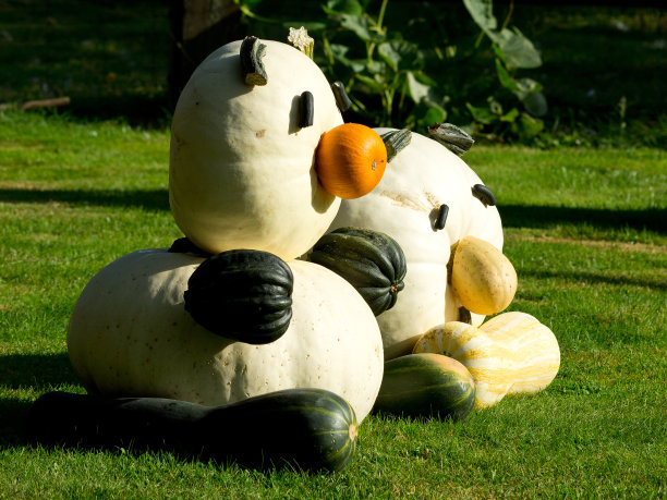 科雷比塞图片下载