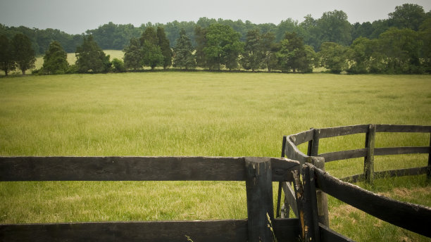 在牧场图片下载
