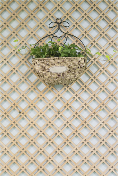 墙花盆图片下载