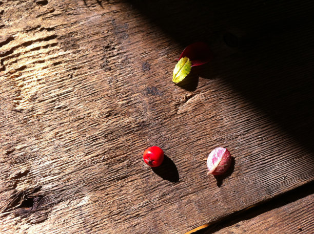 红色浆果和叶子风化的木板图片下载