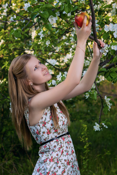 苹果园里的女孩图片下载