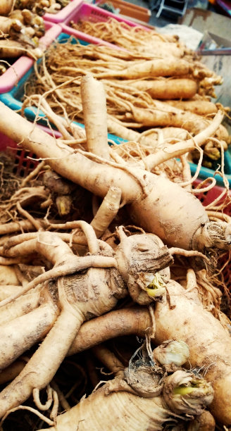 韩国传统市场的生姜根图片下载