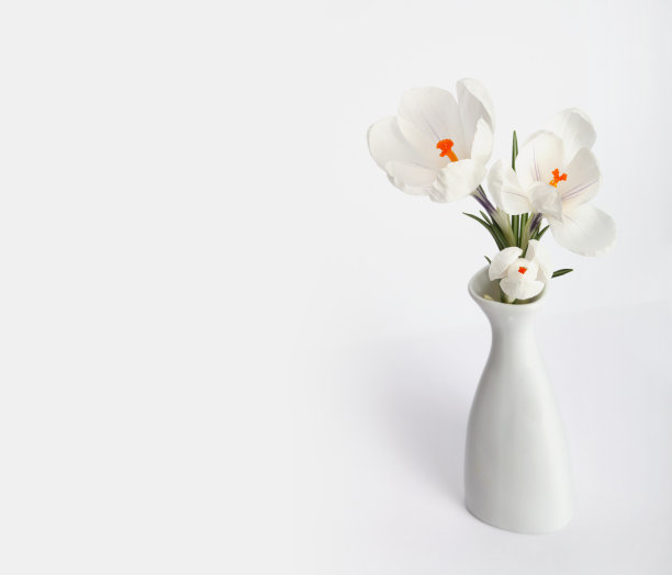 白色花束在灯光背景上图片下载