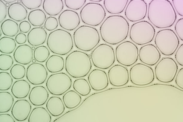 肥皂泡图片下载