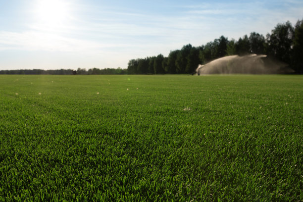 绿草背景图片下载