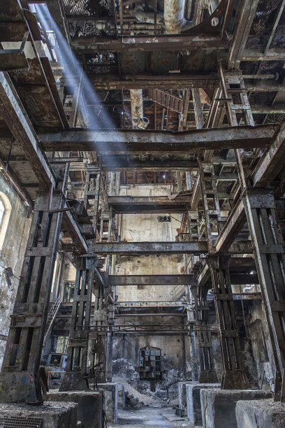 法科里图片下载