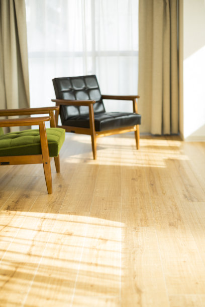 房间里的沙发图片下载