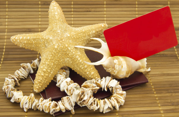 准备好旅行图片下载