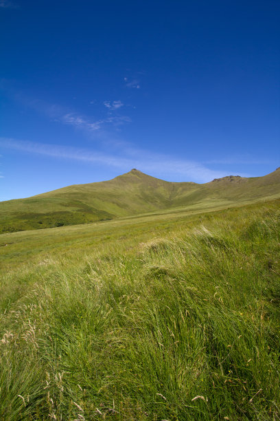 康纳通过图片下载