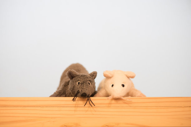 工作台上的情侣娃娃，情人节概念图片下载