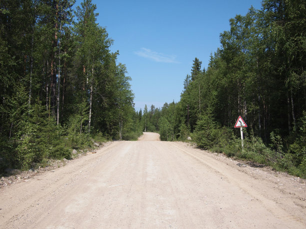 森林之路图片下载