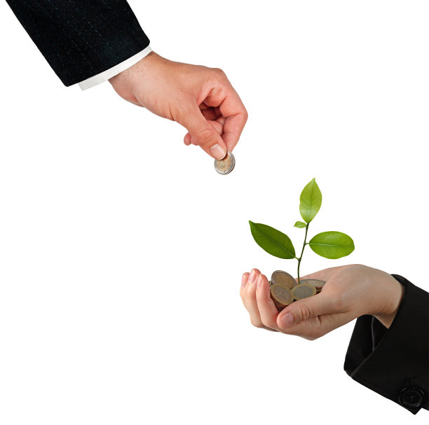 从一堆硬币中长出来的柑橘树苗图片下载