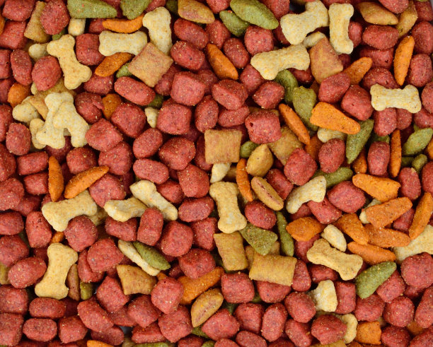 狗粮的背景图片下载