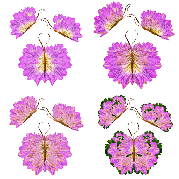 由百合花瓣、叶子和花朵制成的花蝴蝶图片下载