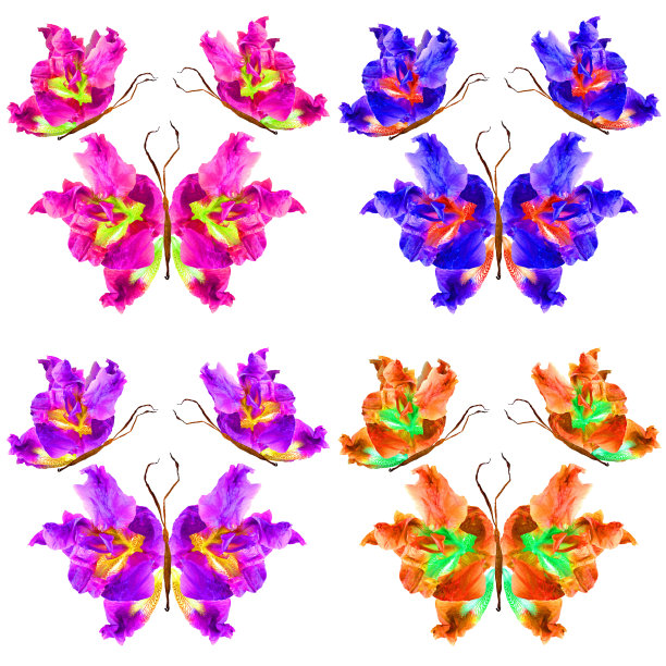 由百合花瓣、叶子和花朵制成的花蝴蝶图片下载