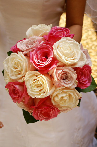 束玫瑰图片下载