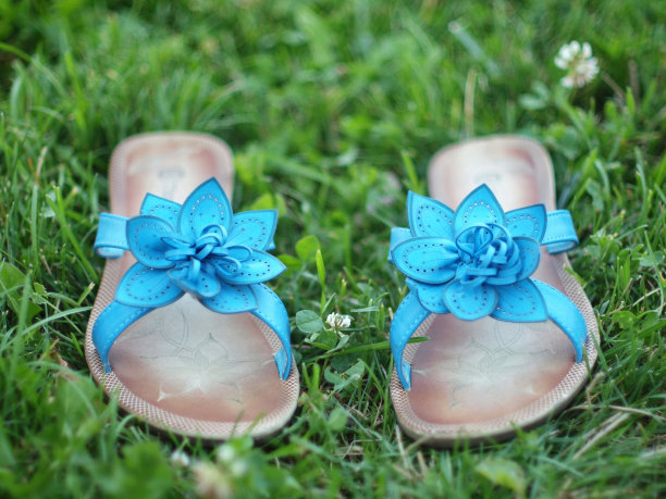 蓝色的夏日鞋在草地上。图片下载