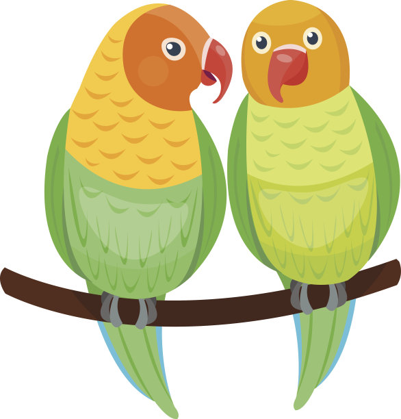 卡通鹦鹉设置向量图片下载