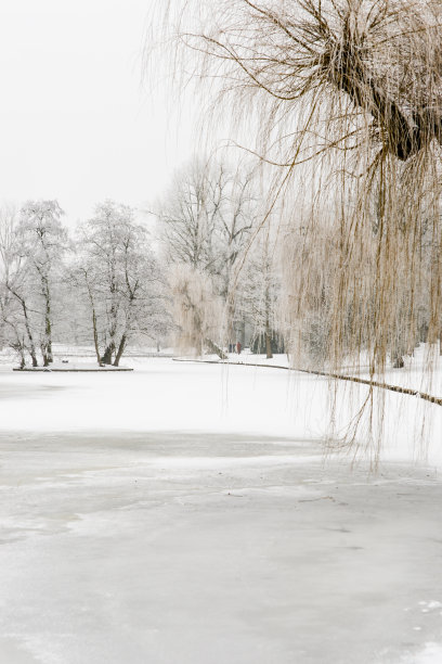 荷兰坎彭的冬季城市公园图片下载